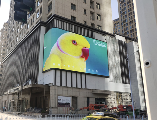 1676450256160583.jpg P6裸眼3D3.jpg